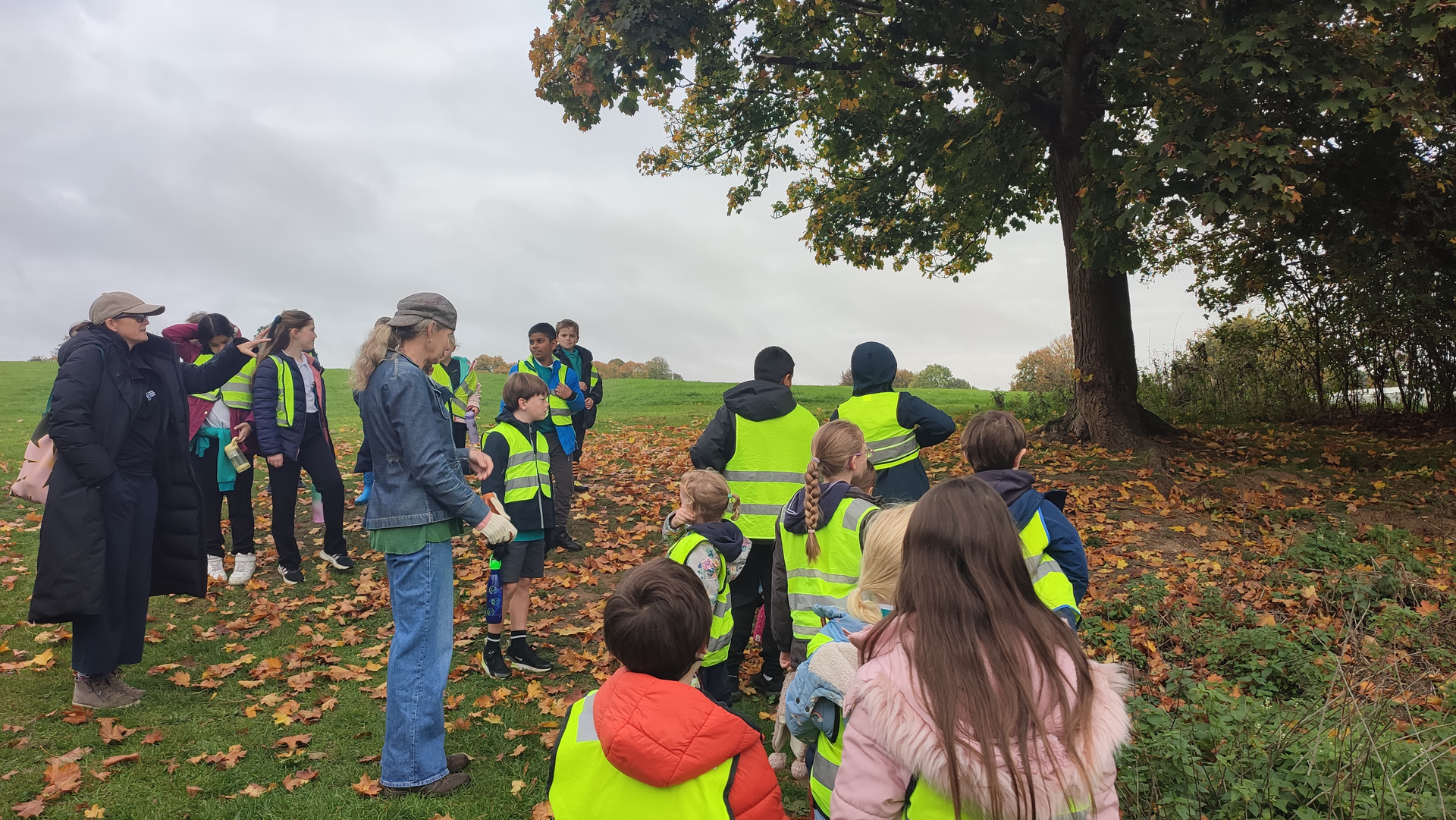 Eco Warrior visit to Verulamium Park and Grebe House