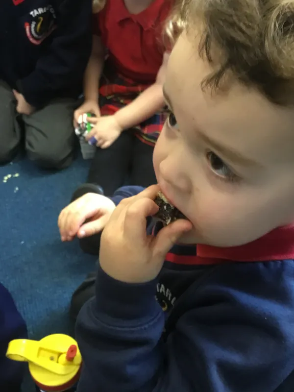 Gallery - created at 2021-11-26 15:51:53 - image 3 Gallery - created at 2021-11-26 15:51:53 - image 3