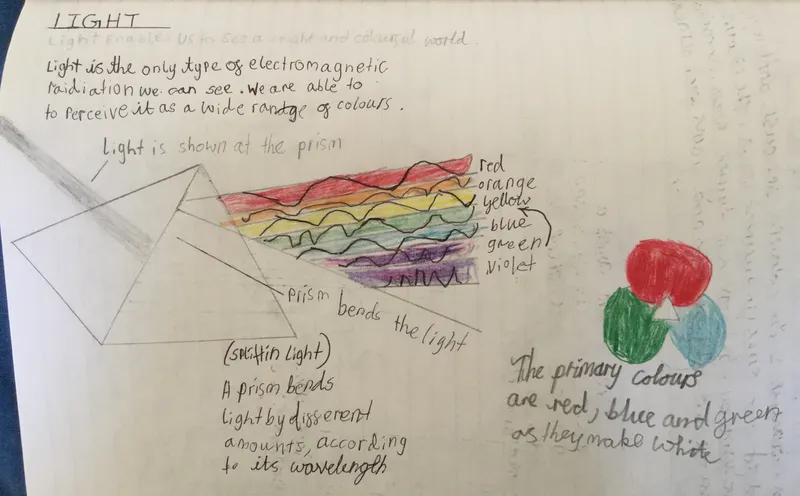 Gallery - created at 2020-05-08 13:09:41 - image 3