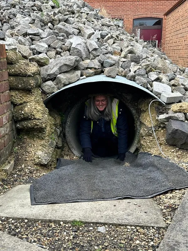 Gallery - created at 2023-11-22 16:59:04 - image 30