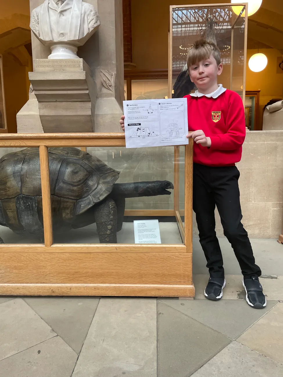 Gallery - created at 2024-02-24 14:03:51 - image 13