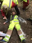 Forest School 96 - image 2 Forest School 96 - image 2