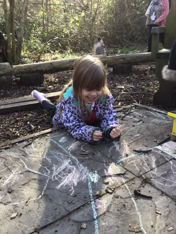 Forest School Dinosaurs - DT - image 25