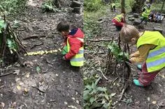 Forest School 61 - image 1 Forest School 61 - image 1
