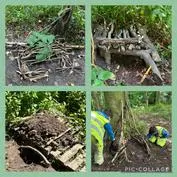 Forest School 37 - image 3 Forest School 37 - image 3
