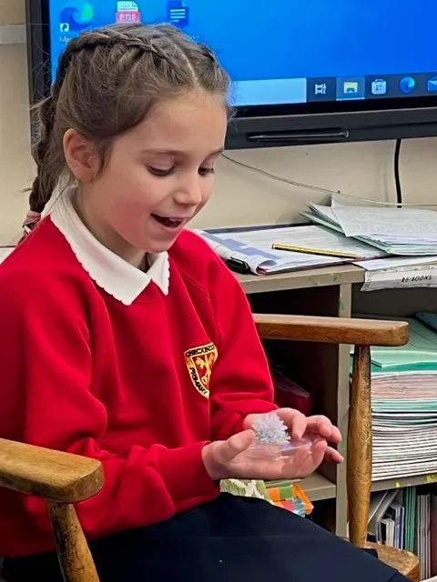 Gallery - created at 2023-01-20 13:09:55 - image 1