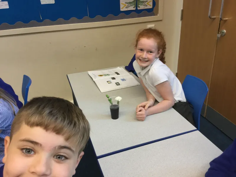 Gallery - created at 2019-06-11 19:36:35 - image 6 Gallery - created at 2019-06-11 19:36:35 - image 6