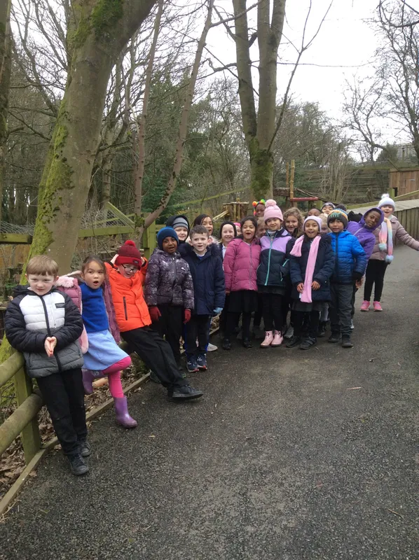 Gallery - created at 2024-02-29 15:51:05 - image 7 Gallery - created at 2024-02-29 15:51:05 - image 7