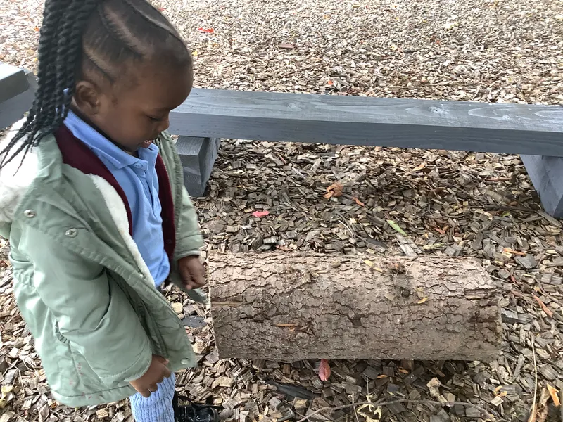 Nursery RE Creation - image 2 Nursery RE Creation - image 2