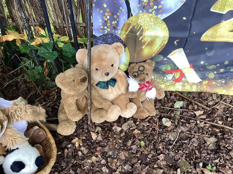 Teddy bear picnic 25 - image 2 Teddy bear picnic 25 - image 2