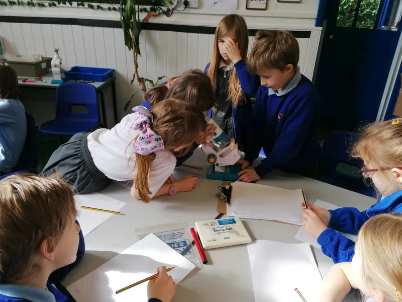 Gallery - created at 2021-03-14 14:39:05 - image 21