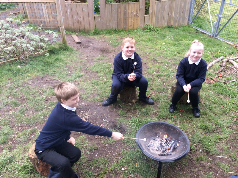 Home | St Mark's CE Primary School