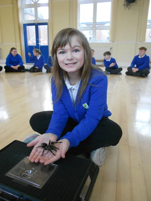 Y6 Reptile Rendezvous - image 85