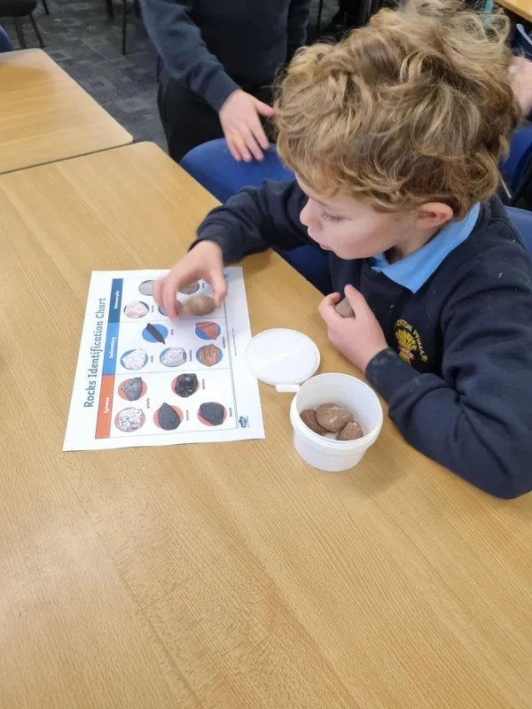 Investigating the differences between rock and soil samples - image 1 Investigating the differences between rock and soil samples - image 1