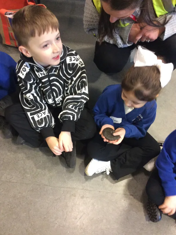 Gallery - created at 2024-02-09 08:14:33 - image 17