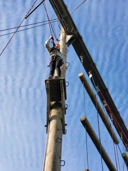 Group 4 - Trapeze and Survivor 2 - image 25