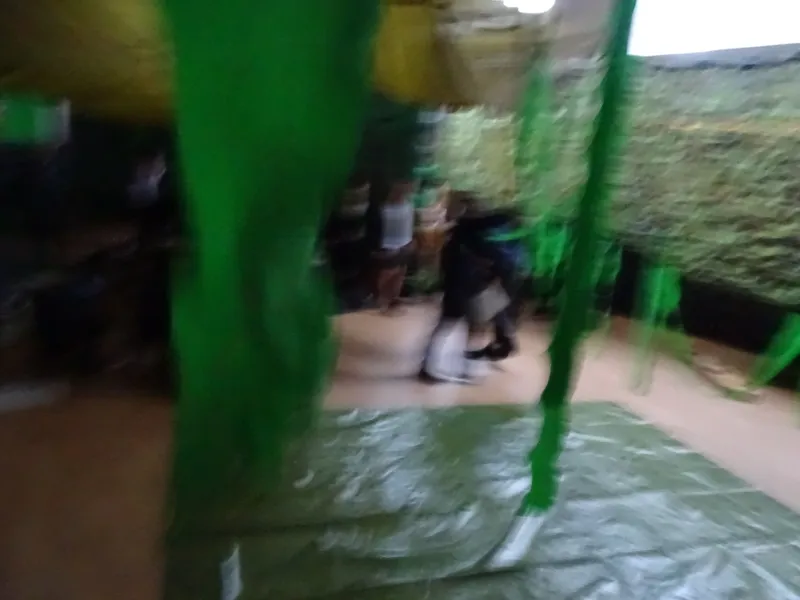 Gallery - created at 2019-01-14 14:26:39 - image 24 Gallery - created at 2019-01-14 14:26:39 - image 24