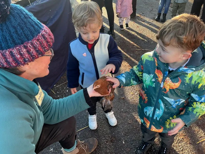 Stella farm on wheels Part 1 - image 43