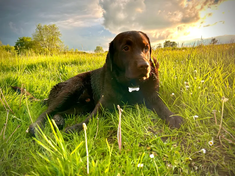 Gallery - created at 2021-06-30 13:57:57 - image 10