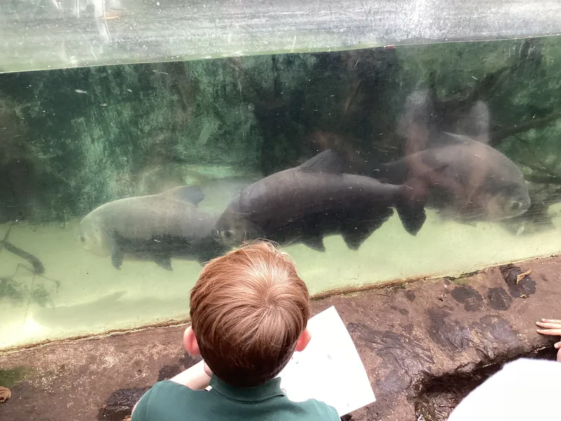 Gallery - created at 2025-03-14 10:11:21 - image 10 Gallery - created at 2025-03-14 10:11:21 - image 10