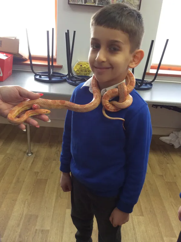 Gallery - created at 2024-02-26 17:15:57 - image 59 Gallery - created at 2024-02-26 17:15:57 - image 59