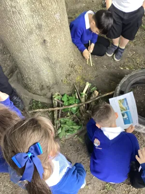 Year 2 GCrosby - image 4