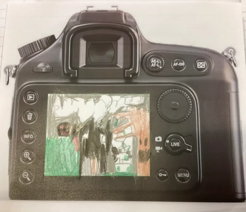 KW T4W Sum1 - image 4