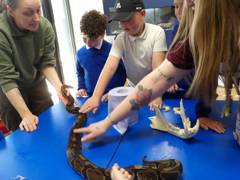 Y3 Yorkshire Wildlife Park Trip - image 46