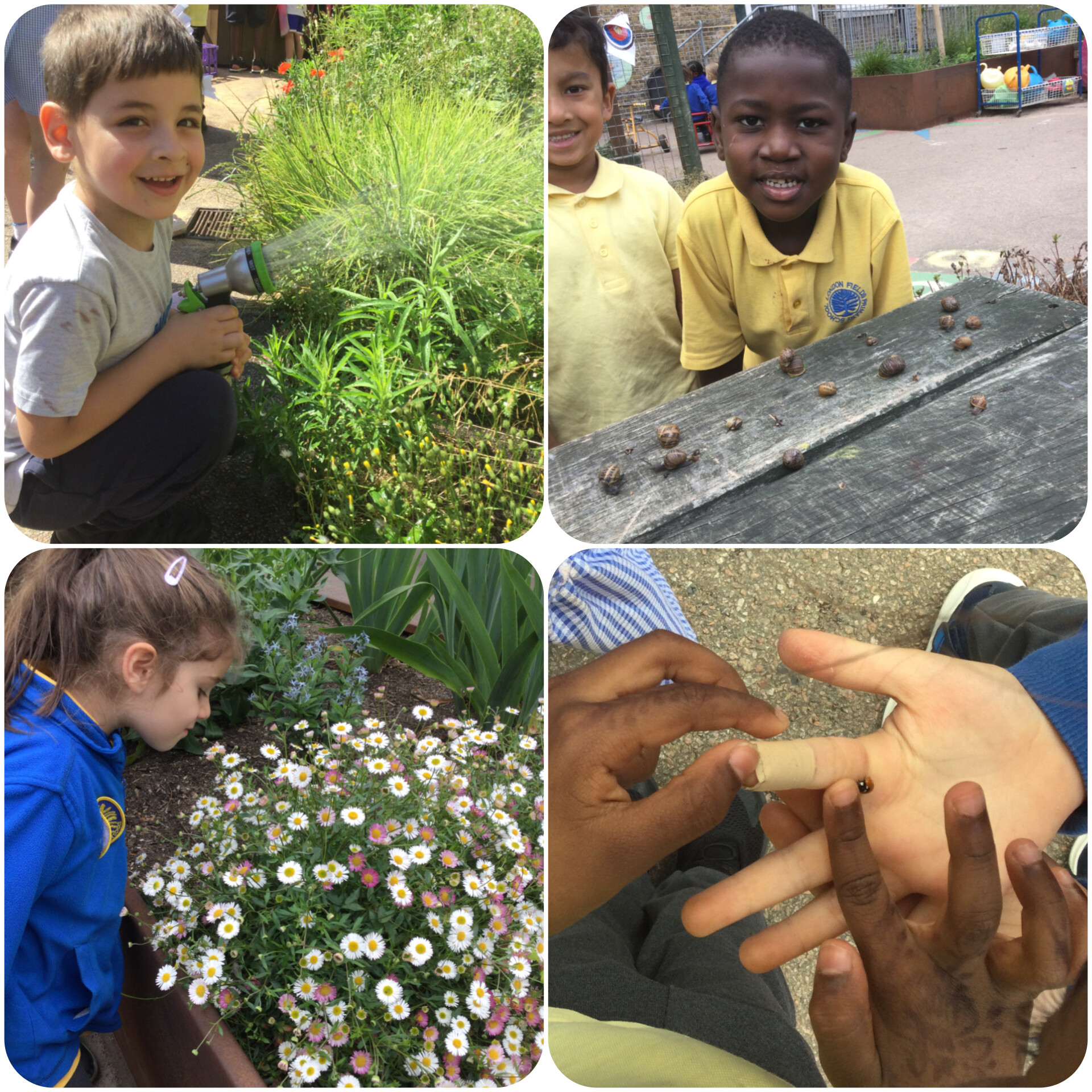 Learning through Nature in Reception