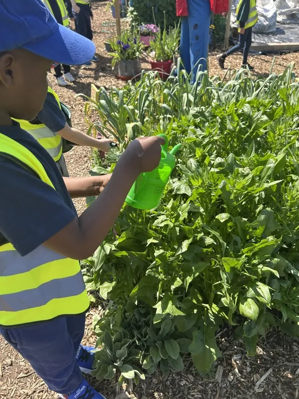 Gallery - created at 2025-11-25 11:17:20 - image 4