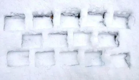 Gallery - created at 2024-02-07 14:35:06 - image 2