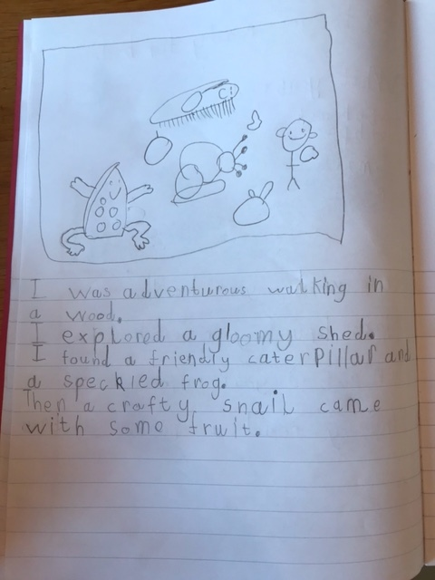 image3.jpeg